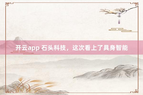 开云app 石头科技，这次看上了具身智能