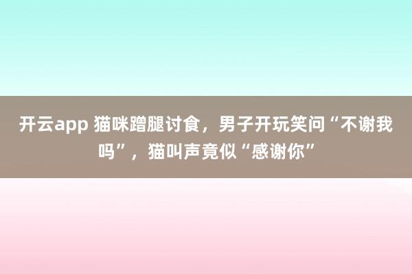 开云app 猫咪蹭腿讨食，男子开玩笑问“不谢我吗”，猫叫声竟似“感谢你”